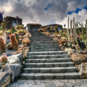 Jardin-de-Cactus