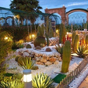 12-jardin-cactus-marina
