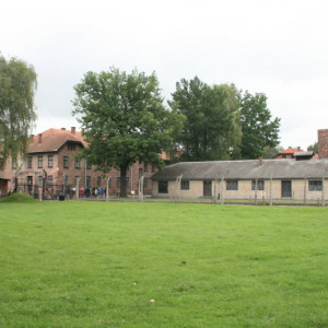 auschwitz