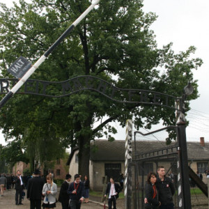 auschwitz