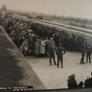 auschwitz