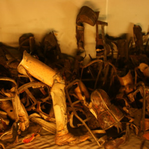 auschwitz