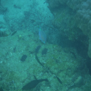 DSCF2677