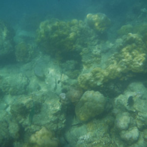DSCF2809