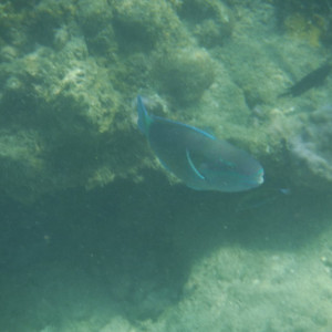 DSCF2806