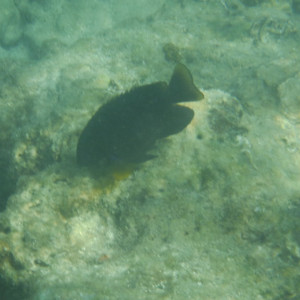 DSCF2807