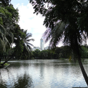 DSC02339