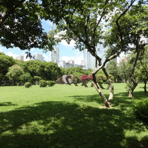 DSC02348