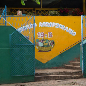 P1060388