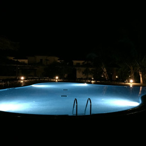The Pool Bar