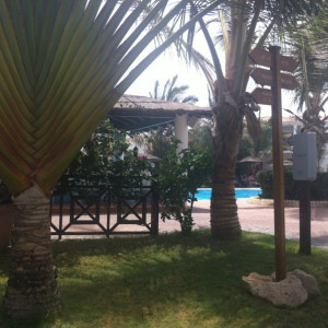 The Pool Bar Panoramic