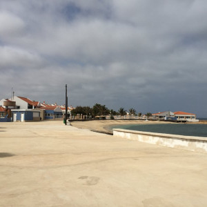 Baía do Algodoeiro