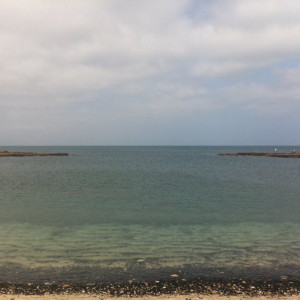 Baía do Algodoeiro