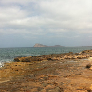 Baía do Algodoeiro