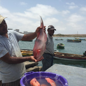 Porto de Pesca de Palmeira