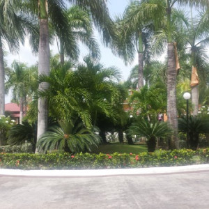 20150615_104510