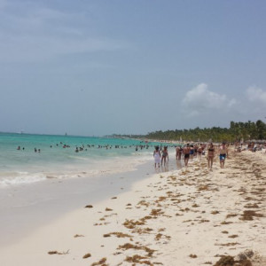 20150615_113105