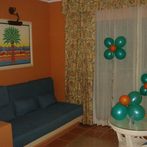 DSC02294