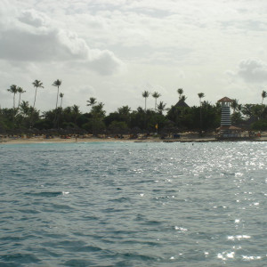 DSC02312