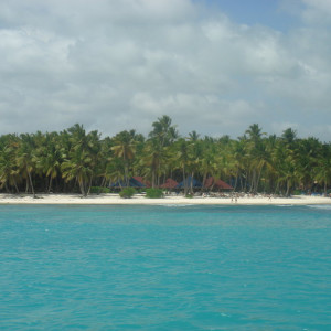 DSC02341