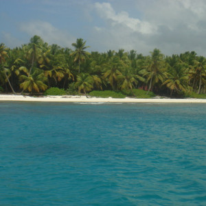 DSC02344