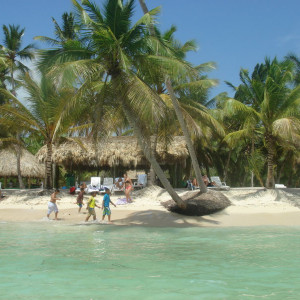 DSC02351