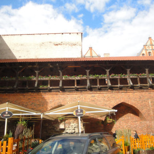DSC07250