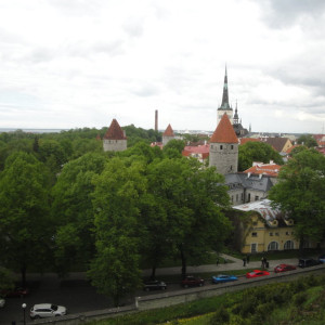 DSC07715