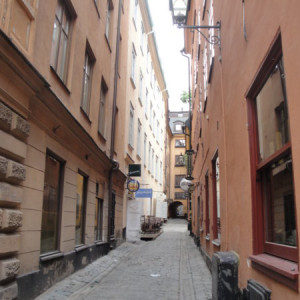 DSC07593