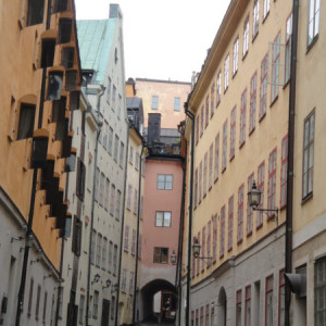 DSC07600