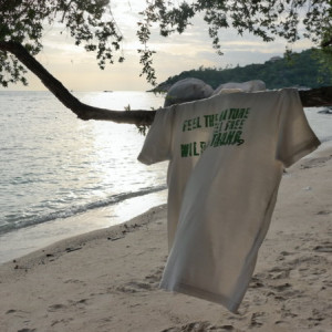 Tailândia | Koh Tao