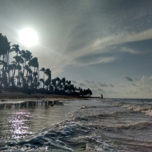 IMG_20150707_174206326_HDR