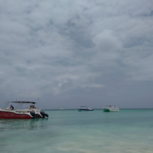 IMG_20150709_124805547