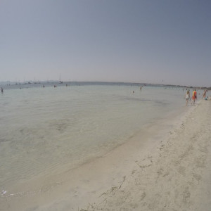 Alcudia_2