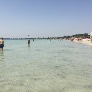 Alcudia_3