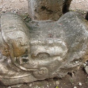 DSC01247