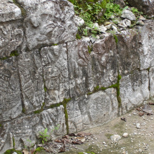 DSC01259