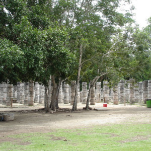 DSC01274
