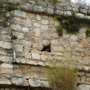 DSC01330