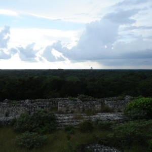 DSC01362