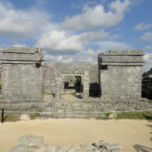 DSC00464