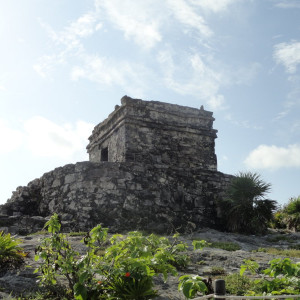 DSC00470