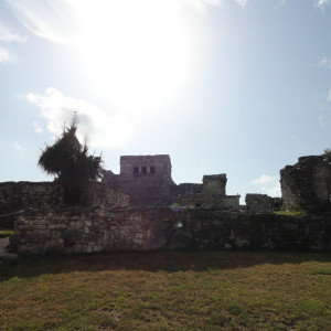 DSC00481
