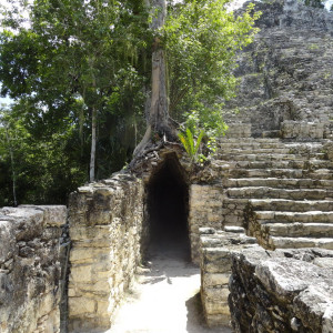 DSC00515