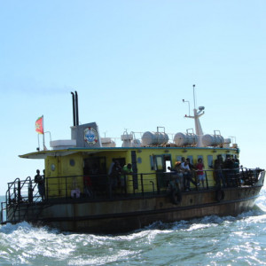 01 (11)