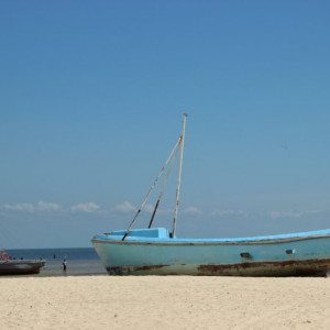 01 (19)