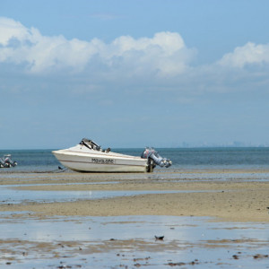01 (21)