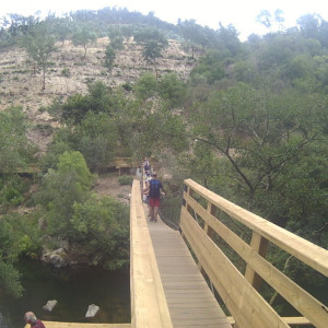 Ponte Suspensa