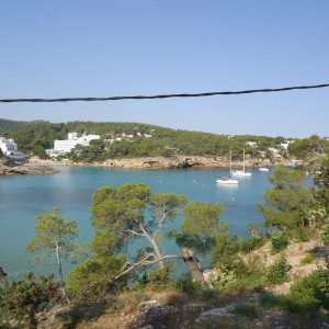 DSC04370