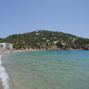 DSC04451